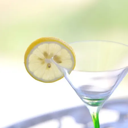 Tija Exclusive Lejlighed *